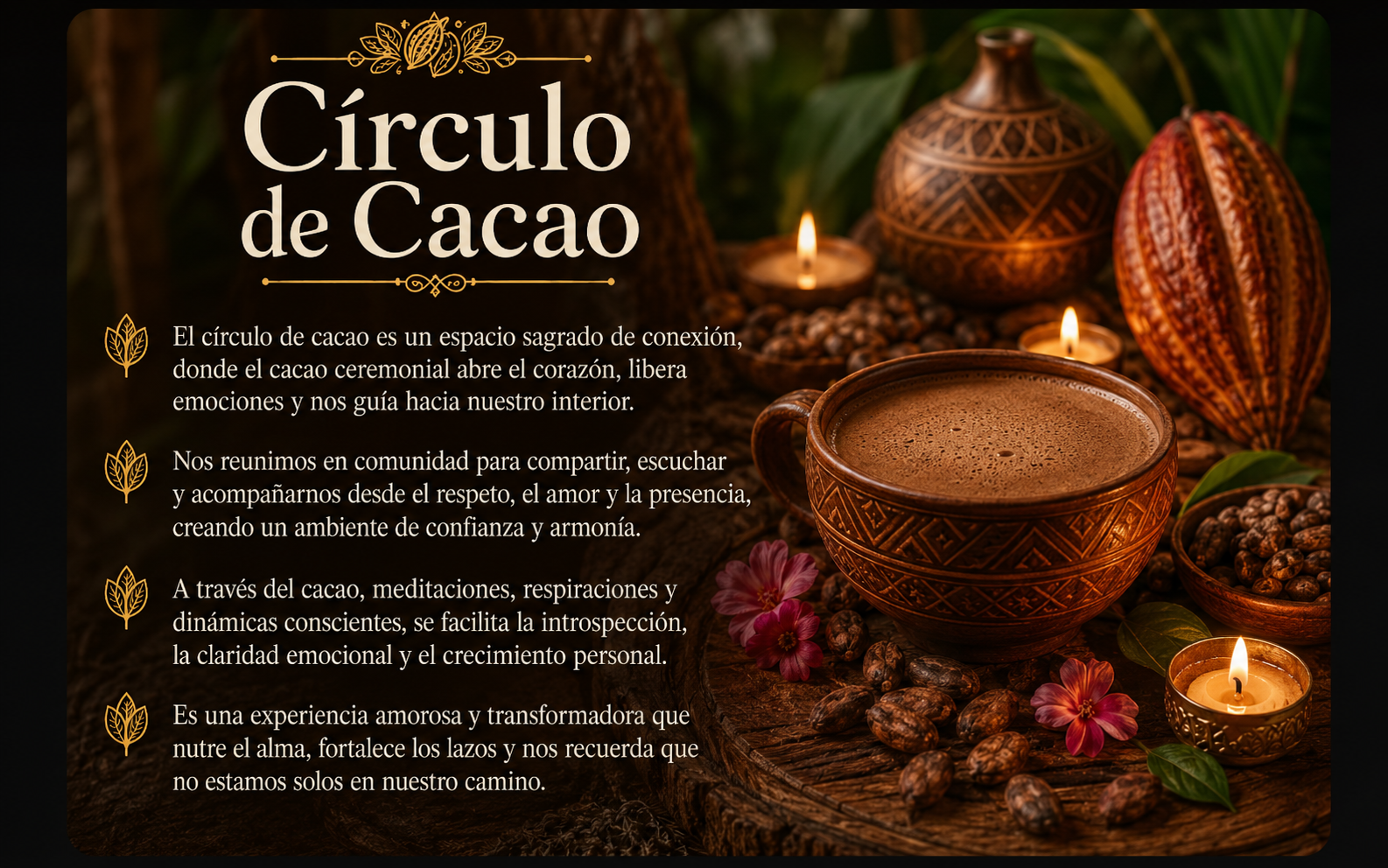 Círculo de Cacao