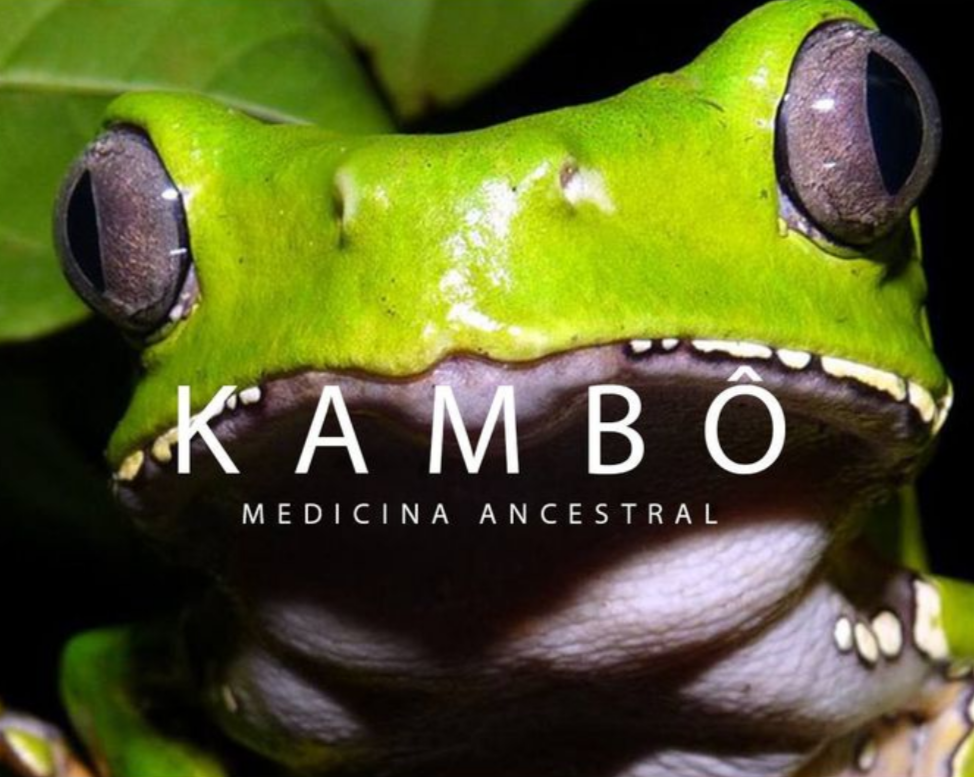 Sesión de Kambo Amazónico