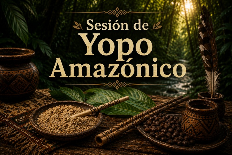 Sesión de Yopo Amazónico